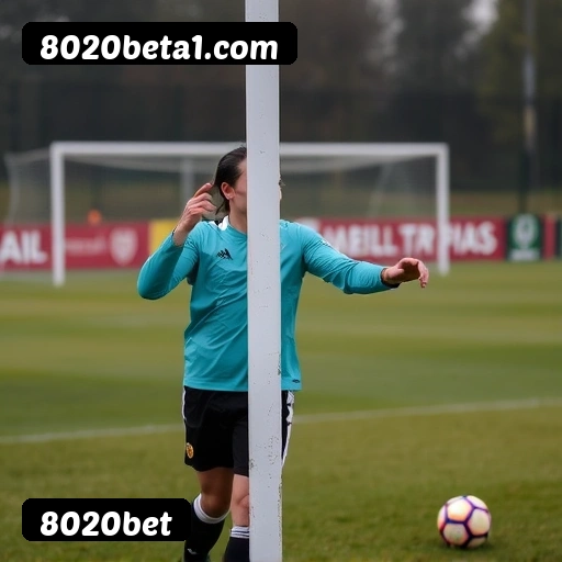 8020bet PIX instantâneo Brasil - Depósito e saque em minutos 24/7