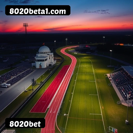 Níveis do programa VIP da 8020bet